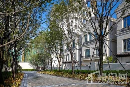 保利上城实景图